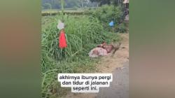 Sempat Telantar Usai Diusir Anak, Ibu Lansia di Probolinggo Dibawa Warga ke Panti Jompo<