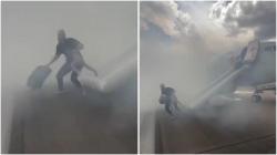 Viral Video Pria Nekat Selamatkan Koper saat Pesawat American Airlines Terbakar, Endingnya Bikin Geram! 