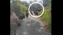 Mobil Pikap Rombongan Ibu-Ibu Kecelakaan di Bangkalan, Perjalanan Menuju Pengajian