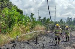 Cegah Karhutla Meluas, BNPB Gelar Operasi Modifikasi Cuaca di Riau, Sumbar dan Kalbar