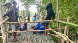 Peduli Petani Kupang, Anggota DPRD dari Perindo Ikut Bantu Bangun Jembatan Darurat<