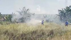 Kebakaran Lahan Kering di Tanjung Balai Dipicu Cuaca Panas Ekstrem, 6 Mobil Damkar Dikerahkan <