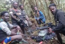 Pengamat Militer Bongkar Alasan KKB Selalu Serang Pekerja Proyek dan Guru di Papua <