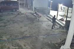 Viral! Aksi Pencurian Celana dalam Perempuan di Sampang Terekam CCTV<