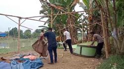 Penggerebekan Diduga Bocor, Polisi Hanya Temukan Gubuk dan Arena Bekas Sabung Ayam<