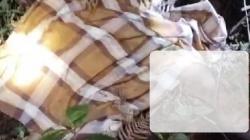 Petani di Lampung Barat Ditemukan Tewas Diduga Diserang Harimau, Tubuh Tak Utuh<