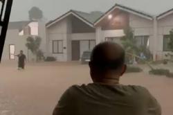 Hujan Deras Guyur Bogor, Banjir hingga Pohon Tumbang di Sejumlah Titik