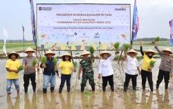 Wujudkan Ketahanan Pangan, Bank Mandiri Wirausahakan Petani Kebumen