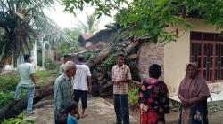 Angin Kencang Terjang Labuhanbatu Utara, 5 Rumah Rusak 1 Orang Terluka<