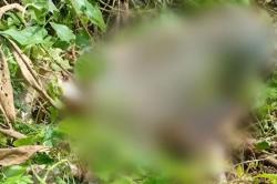 Malang Geger! Mayat Tersisa Kerangka Tulang Belulang Ditemukan di Lahan Kosong<