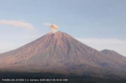 Gunung Semeru 4 Kali Erupsi Pagi Ini, Kolom Abu Capai 1 Km