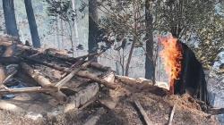 Cegah Karhutla, BMKG Intensifkan Operasi Modifikasi Cuaca di Riau<