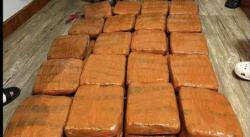 Polda Lampung Gagalkan Penyelundupan Ganja 40 Kg asal Padang, 1 Orang Ditangkap