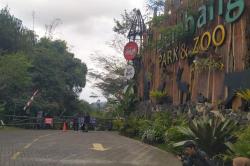 Macan Tutul Kabur Masih Berkeliaran, Lembang Park and Zoo Ditutup!<