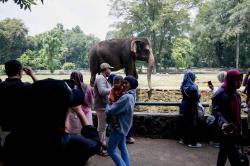 Taman Margasatwa Ragunan Buka hingga Malam, Kamera CCTV Ditambah