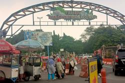 Taman Margasatwa Ragunan Hadirkan Satwa Baru di Libur Nataru, Apa Itu?