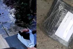 Ngeri! Kreator Konten di Bogor Dapat Teror Kepala Babi