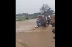 Banjir Bandang Terjang Kantor Pemkab Pesisir Barat, Puluhan Kendaraan Terendam