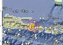 Pusat Gempa Terkini 2 Menit yang Lalu M 2,8 Guncang Banyuwangi