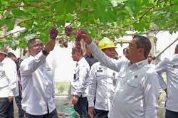 Kementerian Imipas Resmikan Program Ketahanan Pangan Nusakambangan