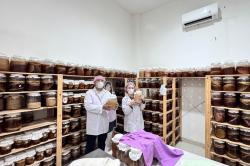 Lewat Program BRILiaN, UMKM Mambucha Siap Go Global