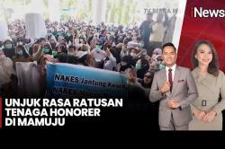 Ratusan Honorer Geruduk Kantor Bupati Mamuju, Tuntut Diangkat Jadi PPPK Paruh Waktu