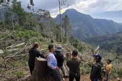 Kasus Perambahan Hutan di Aceh Tengah, Oknum Kades Ditangkap Polisi<