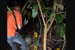 Sarmi Geger! Tulang Belulang Manusia Ditemukan di Hutan Pinggir Sungai Erafo<