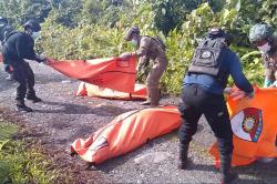Tragedi di Pedalaman Yahukimo, 8 Pendulang Emas Tewas Dibantai KKB OPM<