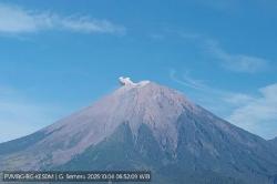 Gunung Semeru Erupsi Pagi Ini, Kolom Abu Capai 500 Meter di Atas Puncak