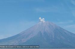 Gunung Semeru Erupsi Hari Ini, Letusan Kolom Abu Capai 500 Meter