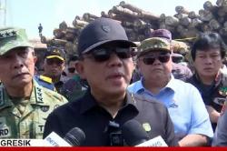 4.610 Meter Kubik Kayu Disita di Gresik, Hasil Pembalakan Liar Hutan Kepulauan Mentawai<