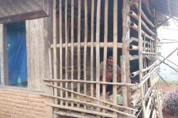 Pilu! Perempuan di Bogor 4 Tahun Tinggal di Kandang karena Mengidap ODGJ<