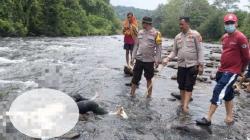 Mayat Pria asal Tasikmalaya Ditemukan Membusuk Tersangkut Bebatuan di Sungai Ogan Sumsel<