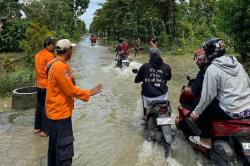Banjir Grobogan Rendam 2.263 Rumah Warga di 28 Desa