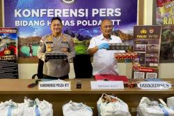 Polda NTT Bongkar Perdagangan Rokok Ilegal di 3 Kabupaten, Ribuan Bungkus Disita