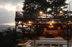 3 Tempat Ngopi di Kulonprogo yang Viewnya Bikin Melongo, Nomor 2 Pas Banget Buat Sunset!