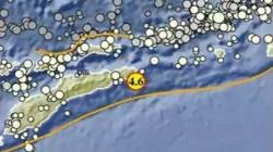 Gempa Bumi Terkini Magnitudo 4,6 Guncang Maluku Barat Daya, Kedalaman 10 Km