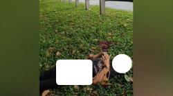 Mayat Pria Ditemukan di Pinggir Tol Jagorawi, Tangan dan Kaki Terikat