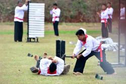 Atraksi Merpati Putih hingga Drone Kamikaze Ditampilkan di Hadapan Prabowo dan Raja Yordania