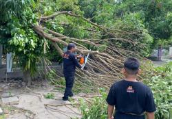 Lamongan dan Banyuwangi Diamuk Angin Kencang, 35 Rumah Rusak Parah<