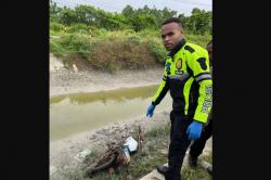Kecelakaan Tunggal di Merauke, Pemotor Tewas Terpental ke Drainase<