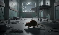 Viral Tikus Berkeliaran di Ruang NICU Rumah Sakit, 2 Bayi Meninggal
