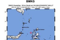 Gempa Halmahera Barat M5,4 Guncang Laut Maluku, BMKG Ungkap Penyebabnya<