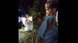 Pencari Burung Jatuh di Gunung Malang Ditemukan, Kondisi Mengenaskan