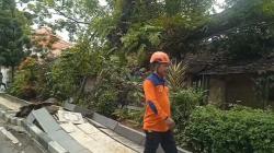 Hujan Deras, Pohon Besar Tumbang Timpa Asrama Polisi di Rangkasbitung Lebak<