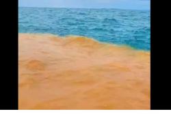 Viral Air Laut 2 Warna di Pantai Baron Gunungkidul, Netizen Heboh!<