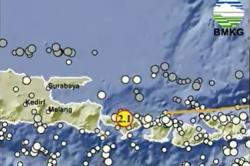 Gempa Hari Ini di Buleleng Bali Kedalaman 14 Km, Cek Magnitudonya! <