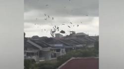 Mencekam! Detik-Detik Puting Beliung Terjang Baubau, Atap Rumah Beterbangan<