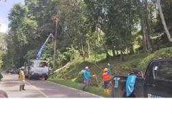 Aceh Tenggara Masih Gelap Gulita Pasca-Banjir Bandang, PLN Targetkan Pekan Depan<
